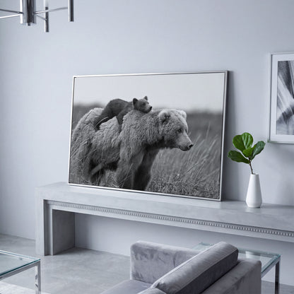 Brown Bear and Cub in Tall Grass. Canvas Wall Art in silver floating frame