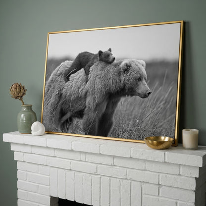 Brown Bear and Cub in Tall Grass. Canvas Wall Art in yellow gold floating frame
