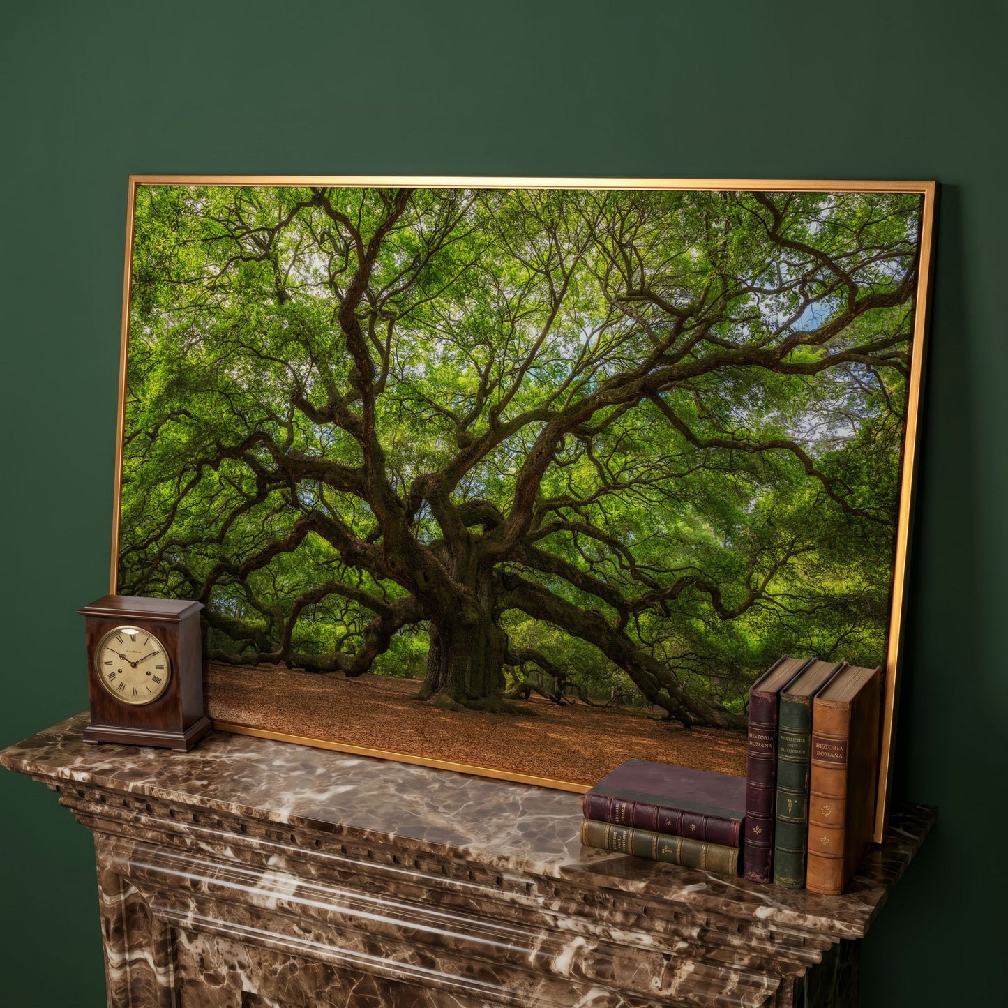 Ancient Oak Tree Canvas Art, Sprawling Forest Branches in antique gold floating frame