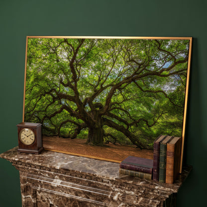 Ancient Oak Tree Canvas Art, Sprawling Forest Branches in antique gold floating frame