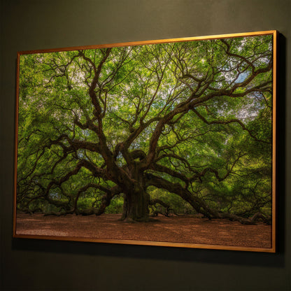 Ancient Oak Tree Canvas Art, Sprawling Forest Branches shown in antique gold floating frame