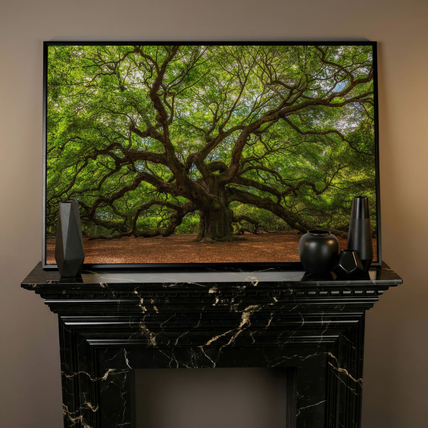 Ancient Oak Tree Canvas Art, Sprawling Forest Branches in black floating frame