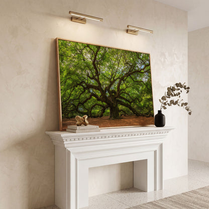 Ancient Oak Tree Canvas Art, Sprawling Forest Branches in white oak floating frame