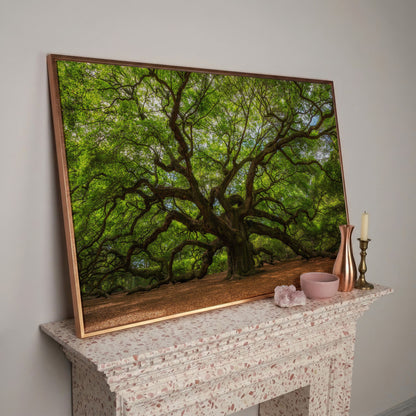 Ancient Oak Tree Canvas Art, Sprawling Forest Branches in rose gold floating frame