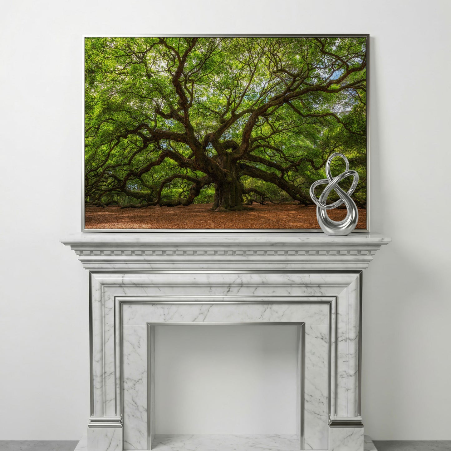 Ancient Oak Tree Canvas Art, Sprawling Forest Branches in silver floating frame