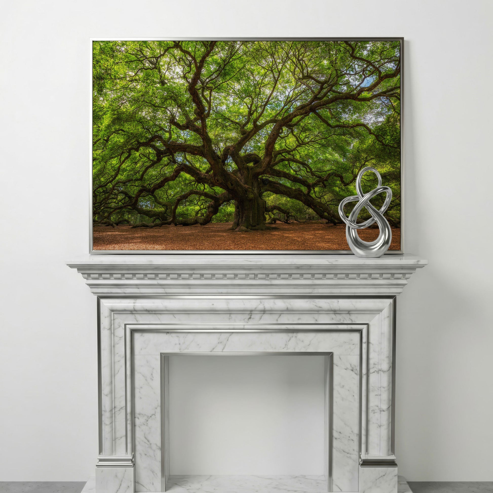 Ancient Oak Tree Canvas Art, Sprawling Forest Branches in silver floating frame