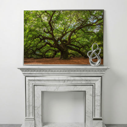 Ancient Oak Tree Canvas Art, Sprawling Forest Branches in silver floating frame