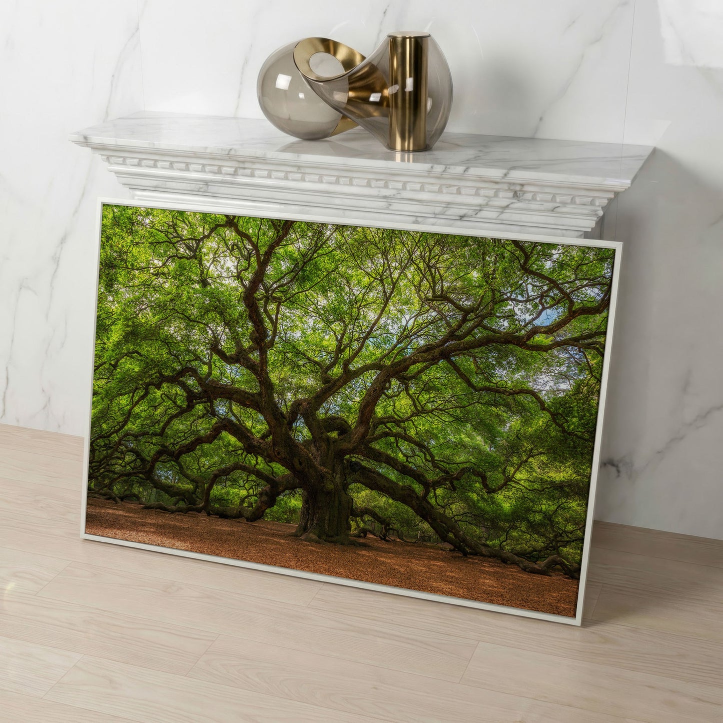 Ancient Oak Tree Canvas Art, Sprawling Forest Branches in white floating frame