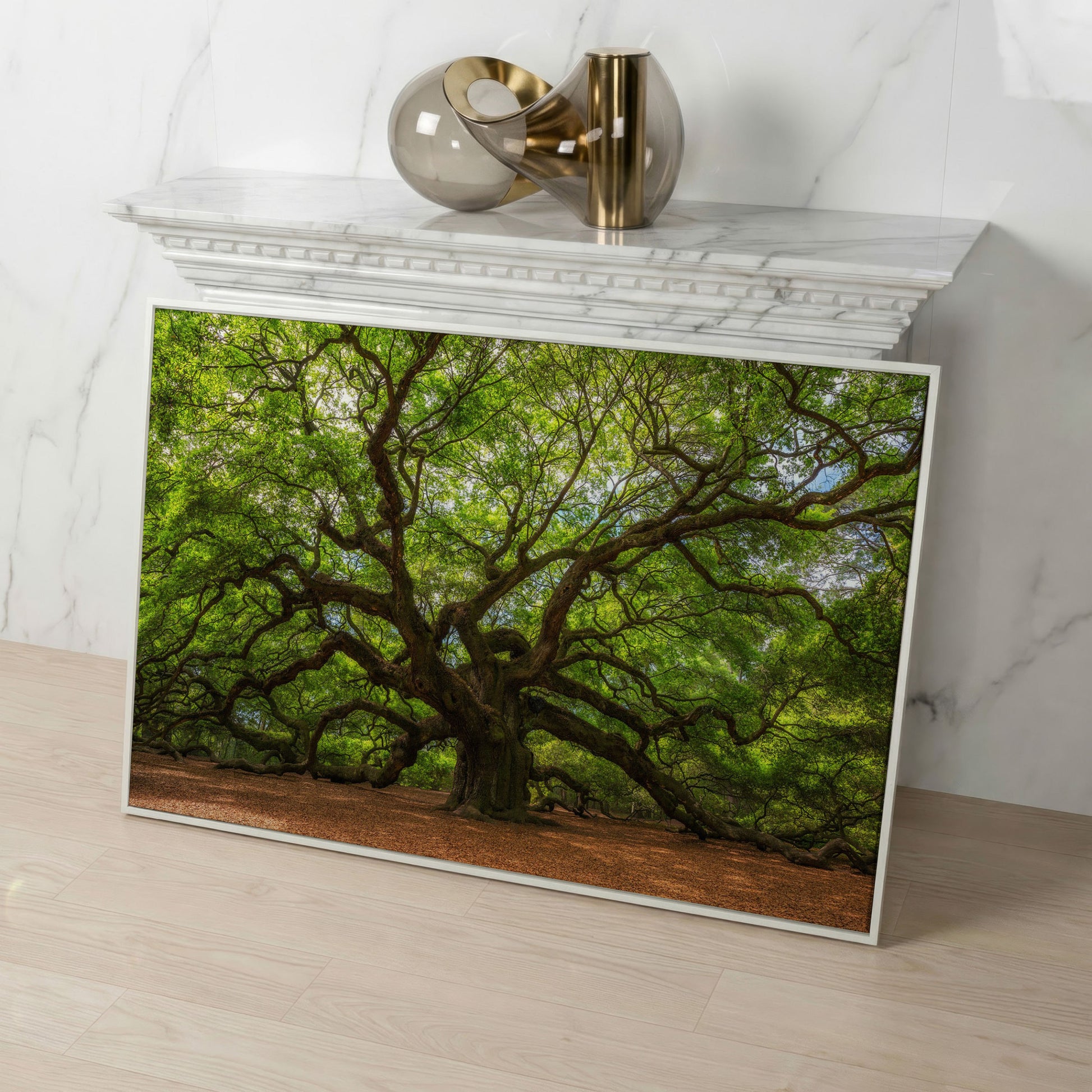 Ancient Oak Tree Canvas Art, Sprawling Forest Branches in white floating frame