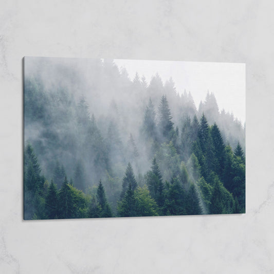 Misty Evergreen Forest Canvas Wall Art, Fog and Spruce Landscape on gallery wrap