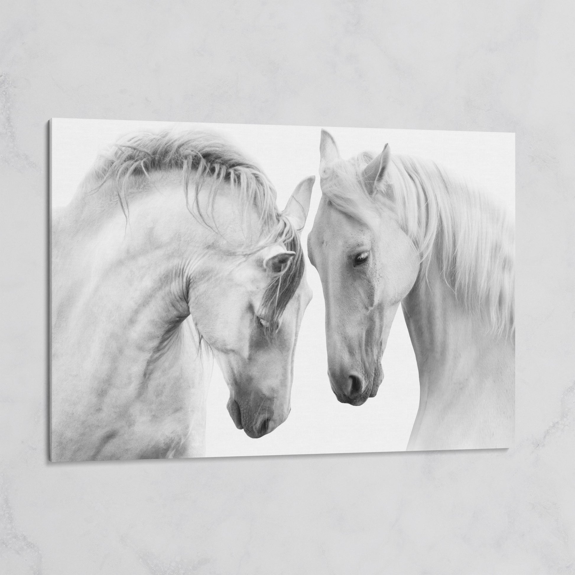 Two Horses Close-Up Portrait Canvas Wall Art on gallery wrap