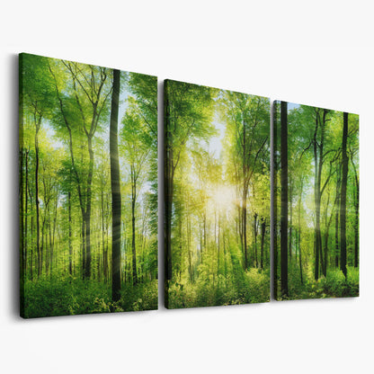 Sunlight Through the Forest Canopy Canvas Wall Art as 3-panel split version