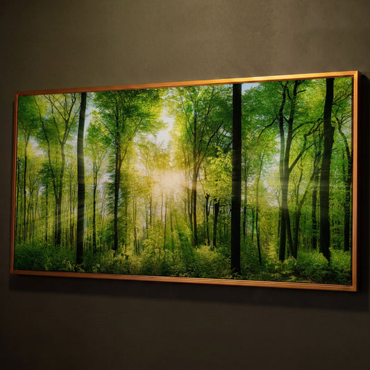 Sunlight Through the Forest Canopy Canvas Wall Art shown in antique gold floating frame