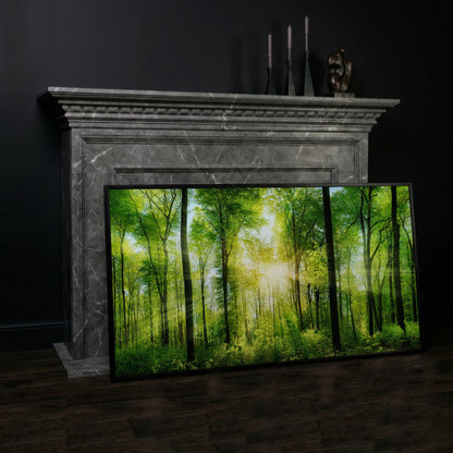 Sunlight Through the Forest Canopy Canvas Wall Art in black floating frame