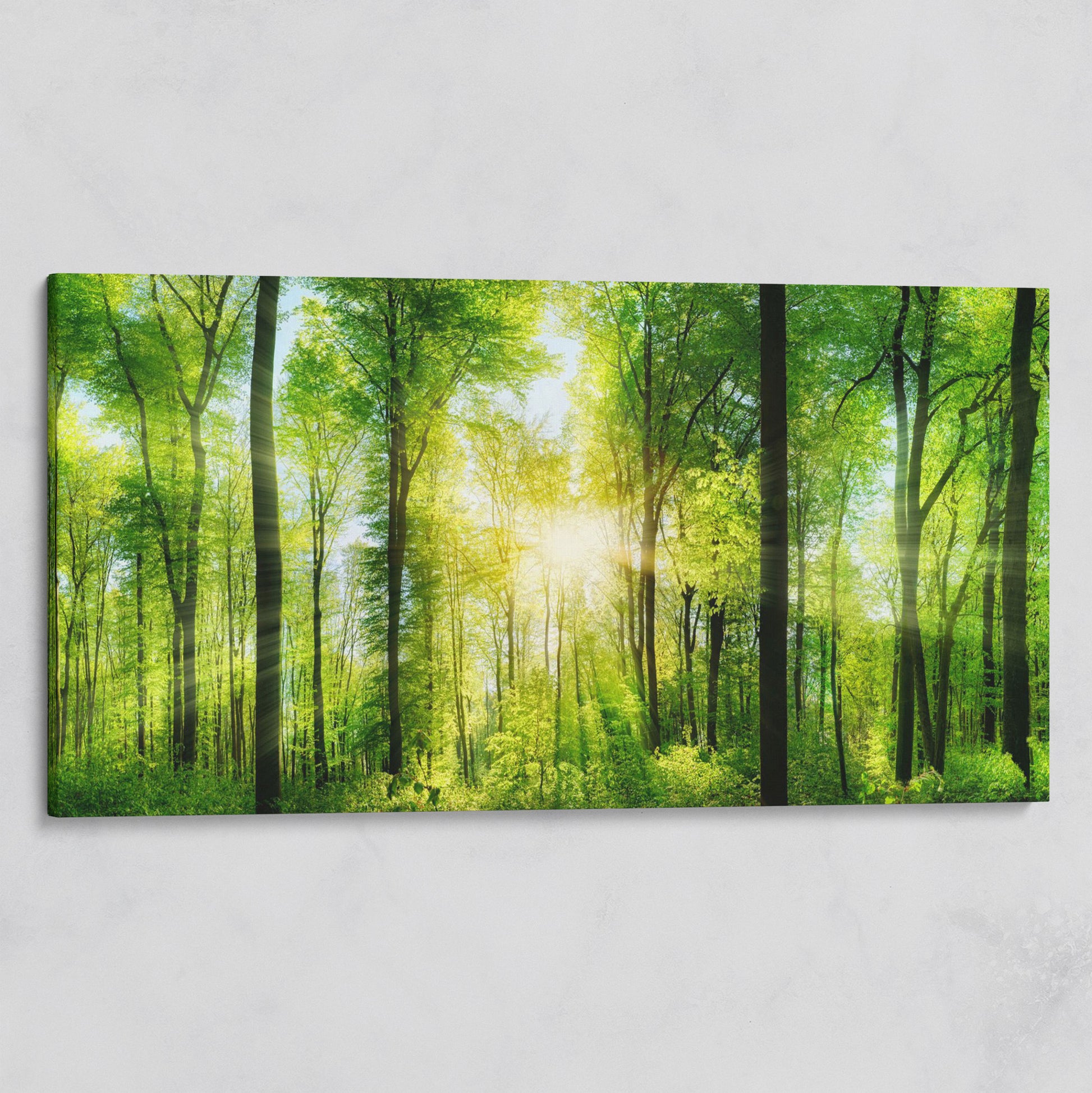 Sunlight Through the Forest Canopy Canvas Wall Art on gallery wrap
