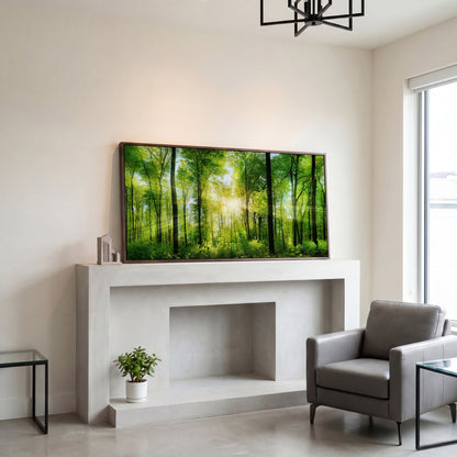 Sunlight Through the Forest Canopy Canvas Wall Art in dark walnut floating frame