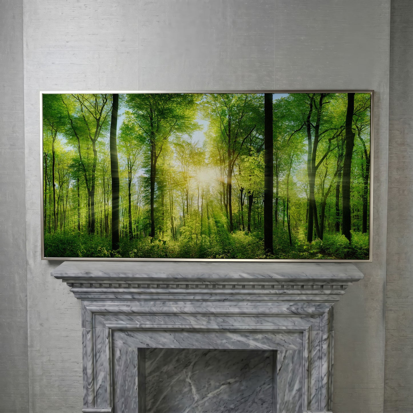 Sunlight Through the Forest Canopy Canvas Wall Art in silver floating frame