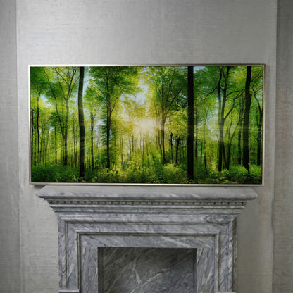 Sunlight Through the Forest Canopy Canvas Wall Art in silver floating frame