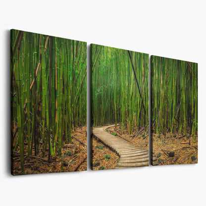 Bamboo Forest Pathway Canvas Wall Art, Zen Landscape as 3-panel split version