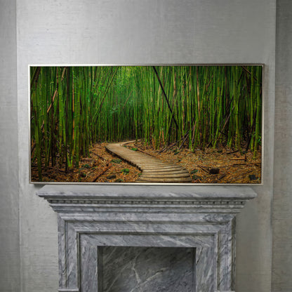 Bamboo Forest Pathway Canvas Wall Art, Zen Landscape in silver floating frame