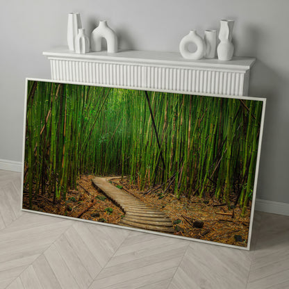 Bamboo Forest Pathway Canvas Wall Art, Zen Landscape in white floating frame