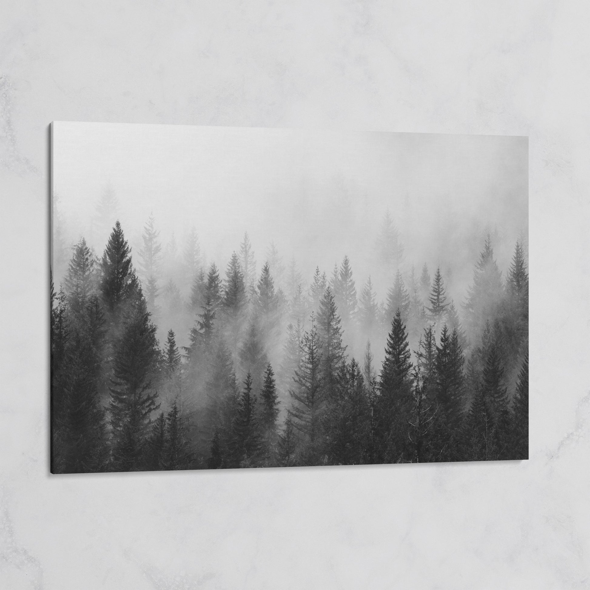 Misty Evergreen Forest Canvas Wall Art, Foggy Pine Trees on gallery wrap