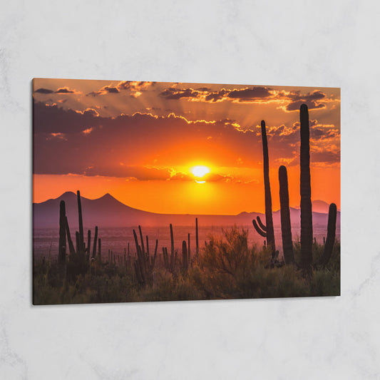 Saguaro Sunset Canvas Art, Arizona Desert Landscape Wall Print on gallery wrap