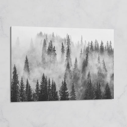 Misty Evergreen Forest Canvas Wall Art, Fog Through the Trees on gallery wrap