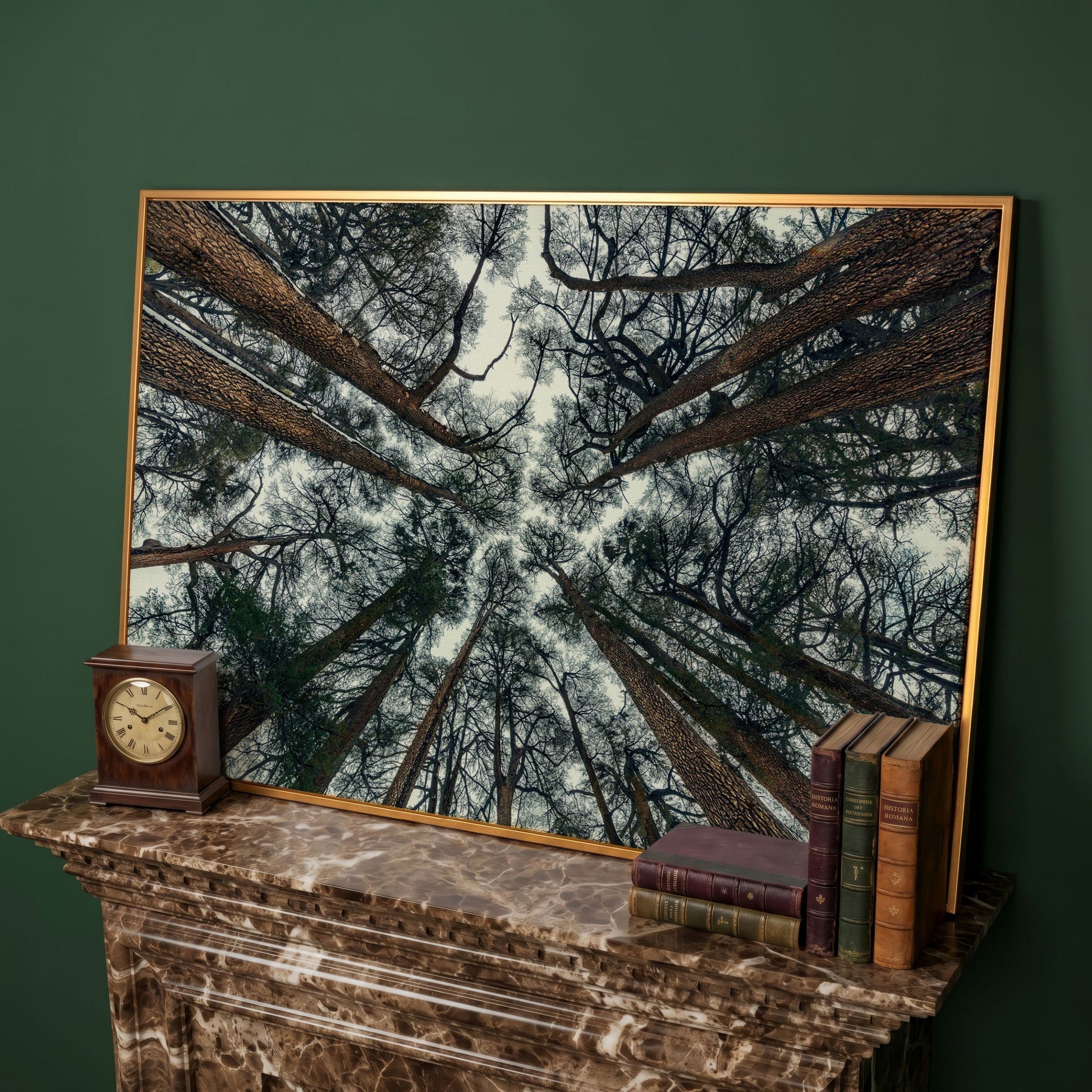 Looking Up Through the Forest Canopy. Canvas Wall Art in antique gold floating frame