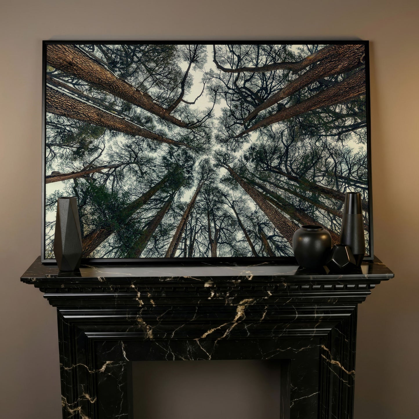 Looking Up Through the Forest Canopy. Canvas Wall Art in black floating frame