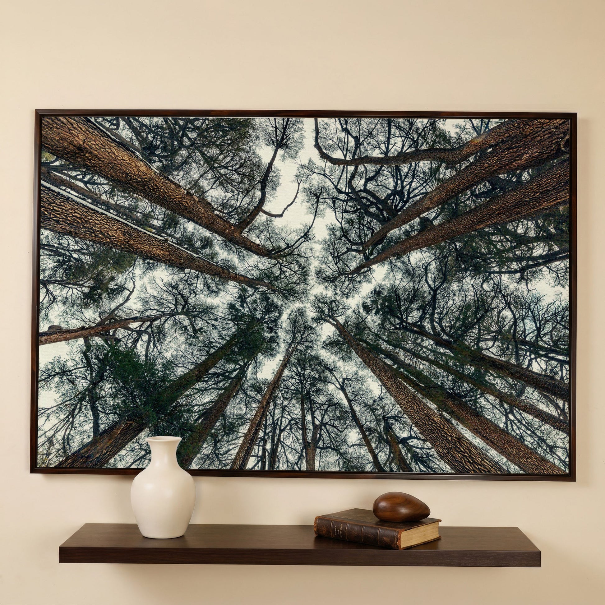 Looking Up Through the Forest Canopy. Canvas Wall Art in dark walnut floating frame
