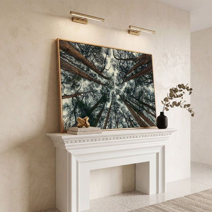 Looking Up Through the Forest Canopy. Canvas Wall Art in white oak floating frame