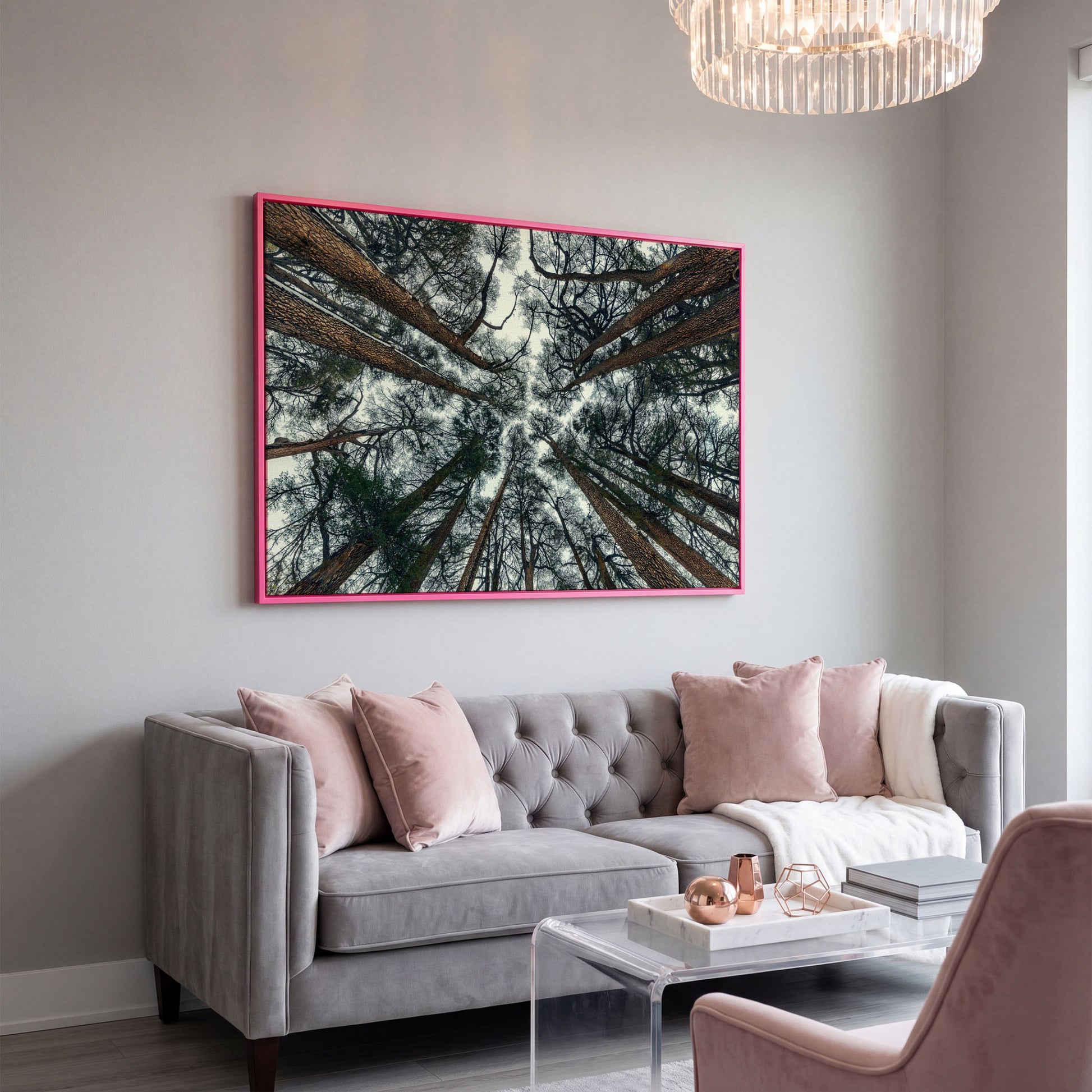 Looking Up Through the Forest Canopy. Canvas Wall Art in pink floating frame
