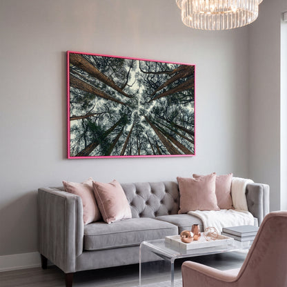 Looking Up Through the Forest Canopy. Canvas Wall Art in pink floating frame