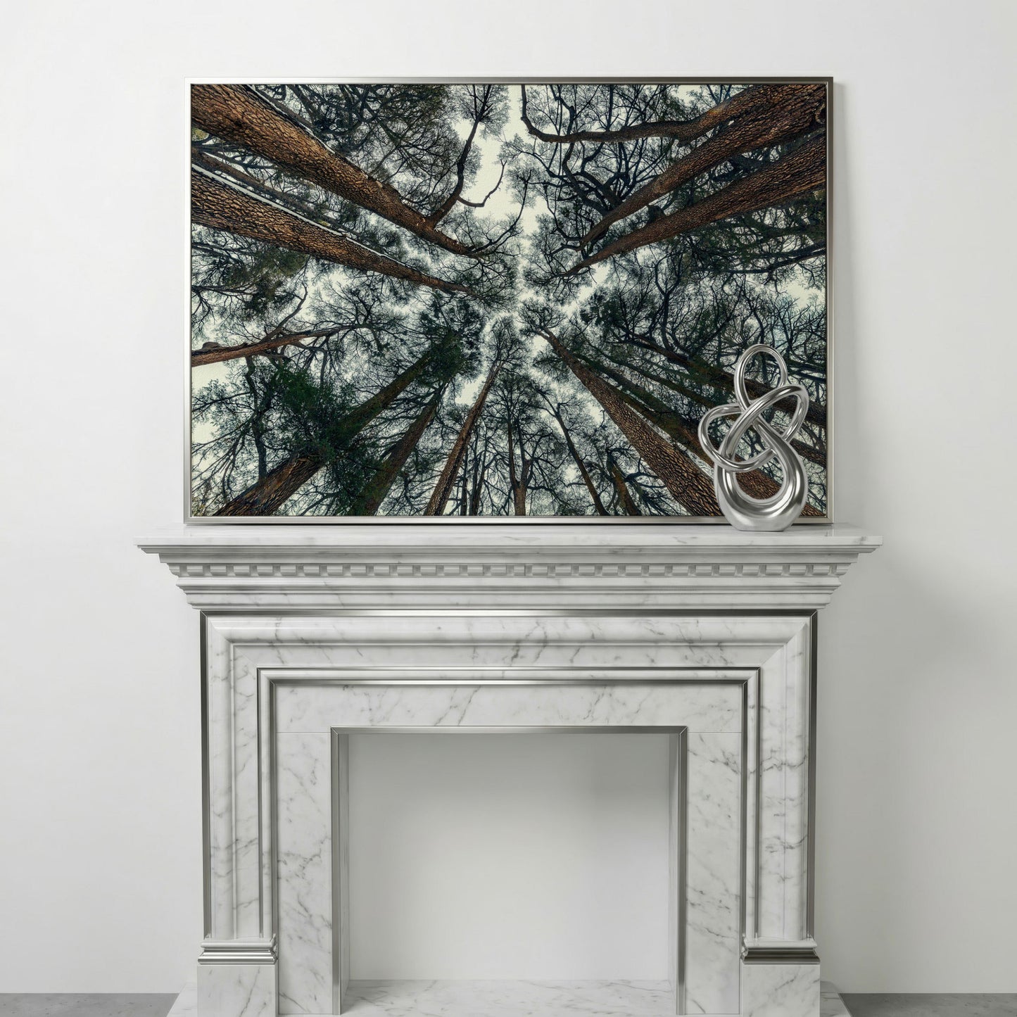Looking Up Through the Forest Canopy. Canvas Wall Art in silver floating frame