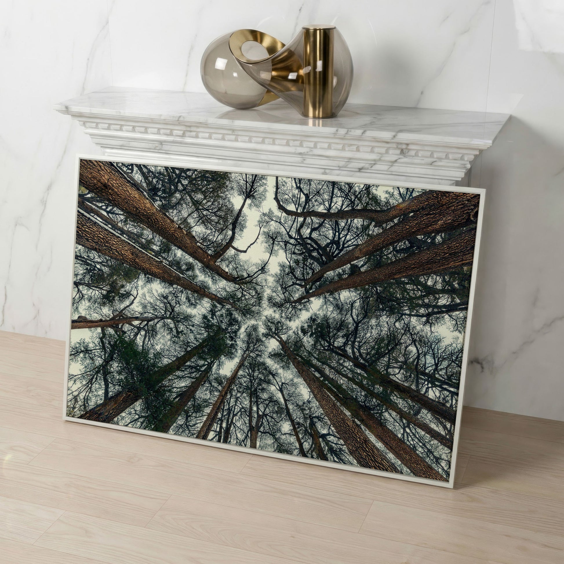 Looking Up Through the Forest Canopy. Canvas Wall Art in white floating frame