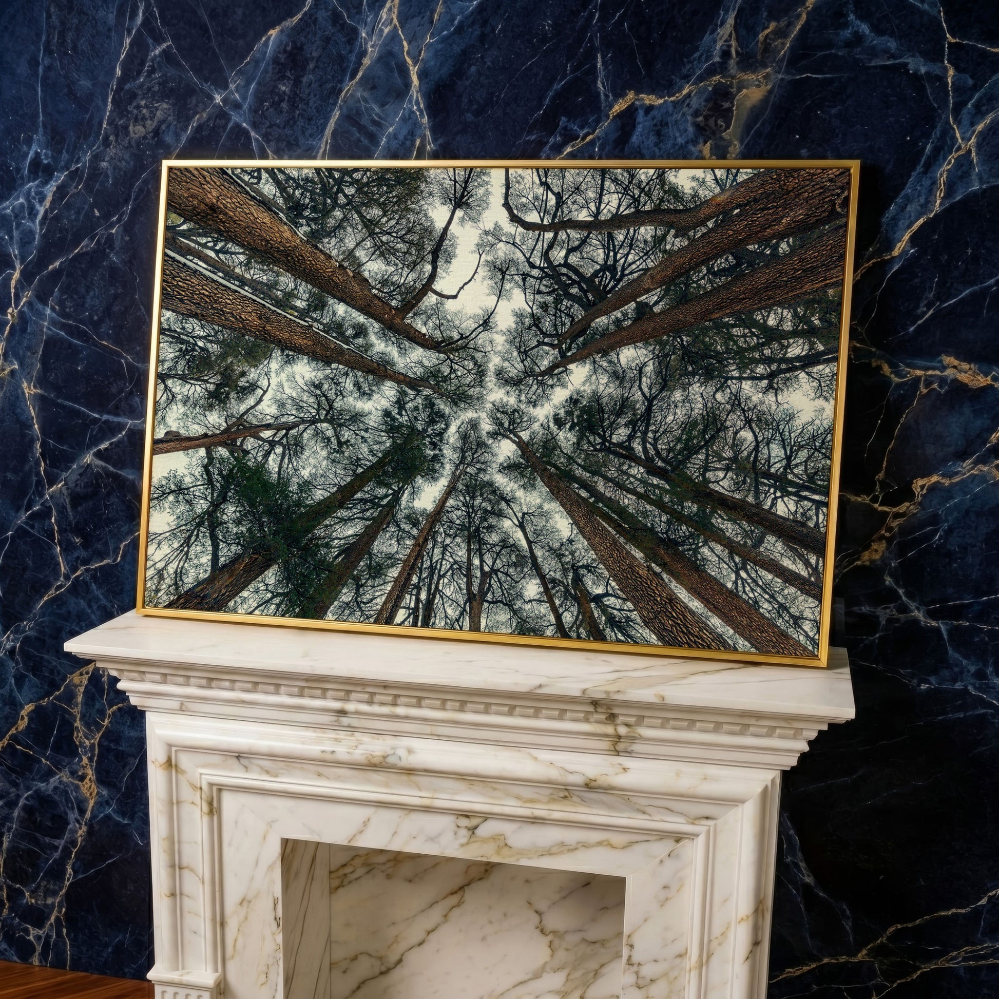Looking Up Through the Forest Canopy. Canvas Wall Art in yellow gold floating frame