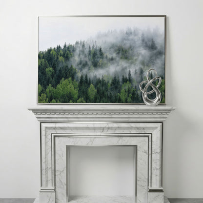 Misty Pine Forest Canvas Wall Art, Foggy Landscape Print in silver floating frame