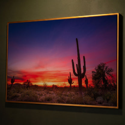 Saguaro Sunset Canvas Wall Art, Arizona Desert Silhouette shown in antique gold floating frame