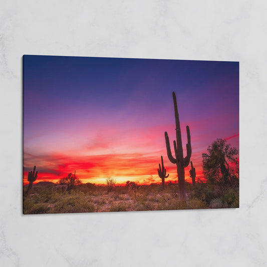 Saguaro Sunset Canvas Wall Art, Arizona Desert Silhouette on gallery wrap