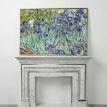 Van Gogh Irises Canvas Wall Art. Wildflower Field Print in silver floating frame