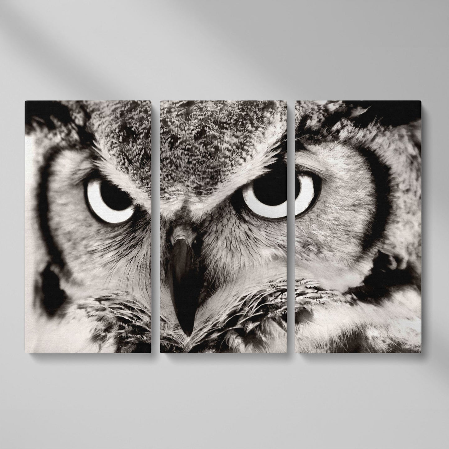 Owl Close-Up Canvas Art: Eyes, Beak and Feather Detail as 3-panel split version