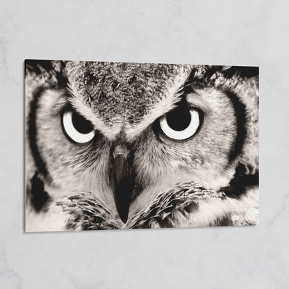 Owl Close-Up Canvas Art: Eyes, Beak and Feather Detail on gallery wrap