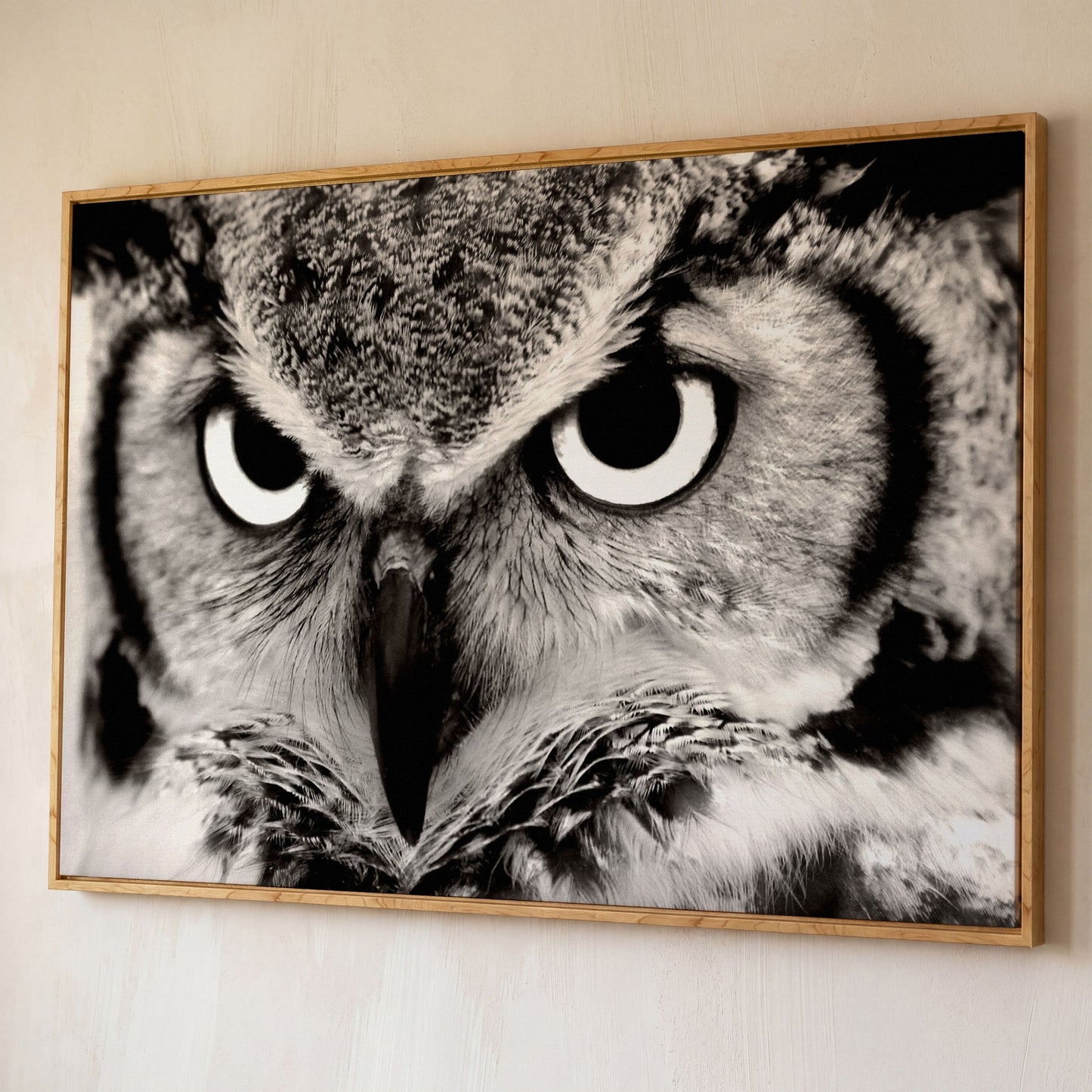Owl Close-Up Canvas Art: Eyes, Beak and Feather Detail shown in white oak floating frame
