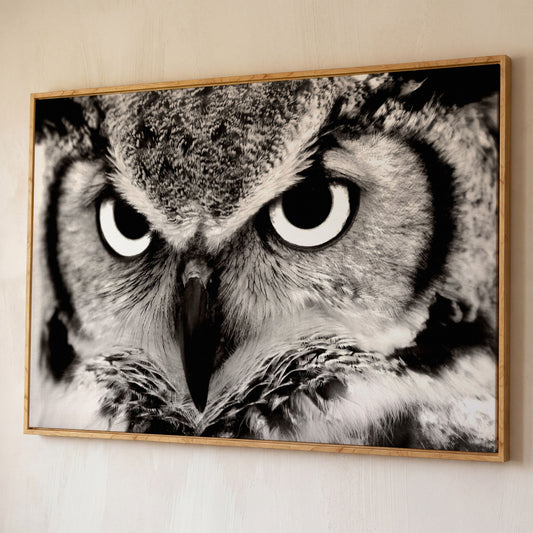 Owl Close-Up Canvas Art: Eyes, Beak and Feather Detail shown in white oak floating frame