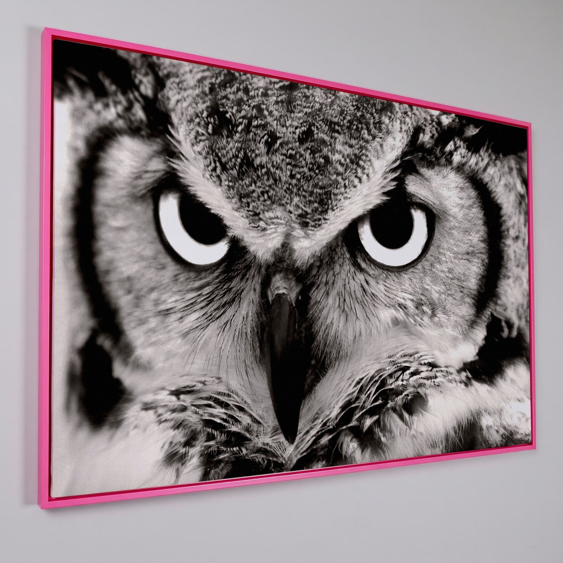 Owl Close-Up Canvas Art: Eyes, Beak and Feather Detail in pink floating frame