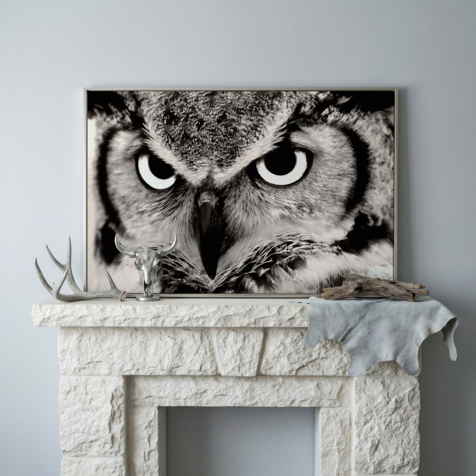 Owl Close-Up Canvas Art: Eyes, Beak and Feather Detail in silver floating frame