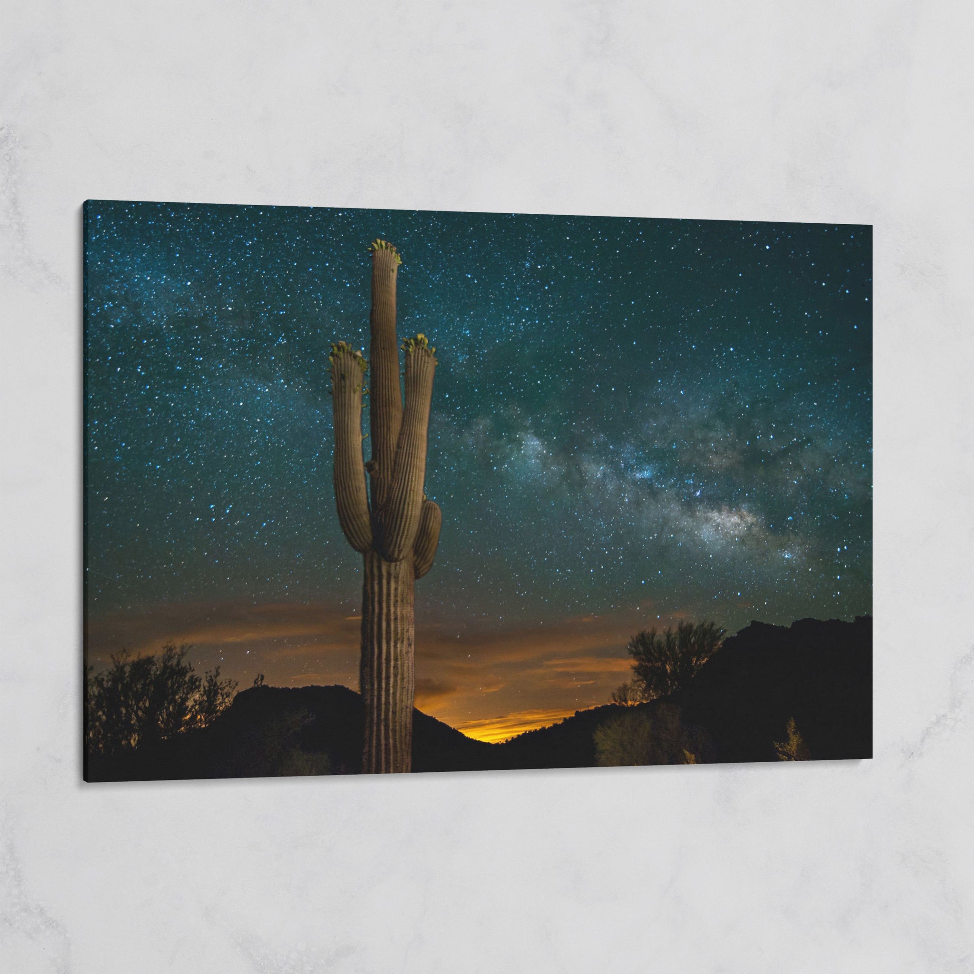 Saguaro and the Milky Way: Desert Night Sky Canvas Art on gallery wrap