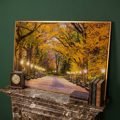 Central Park Autumn Pathway Canvas Wall Art, New York in antique gold floating frame