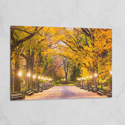 Central Park Autumn Pathway Canvas Wall Art, New York on gallery wrap